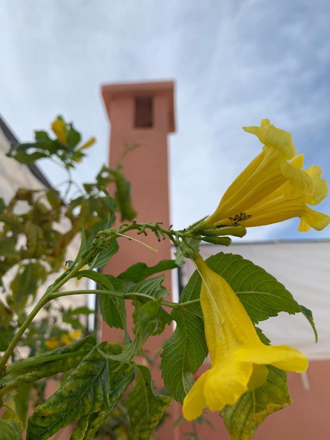 Hotel Riad Dar Mamouni Marrakesh Esterno foto